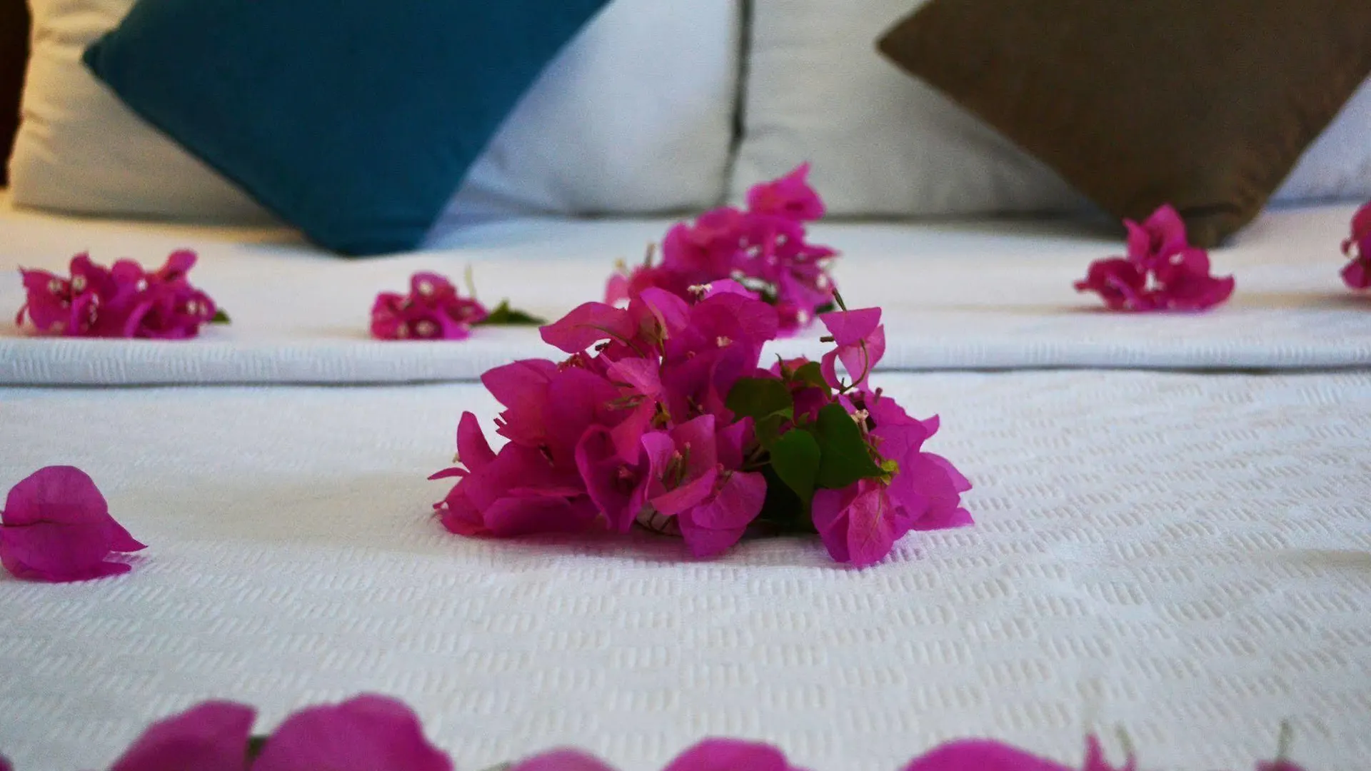 Oskay Hotel Dalyan